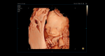Express 3D anatomy in detail using a realistic view